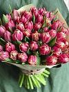 pink peony tulips photo 1