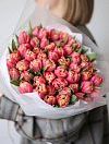 51 Peony Pink Tulip photo 1