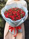 red peony tulips photo 1