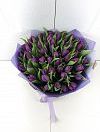 Purple tulips photo 2