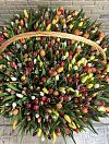 1001 tulips in a basket photo 1