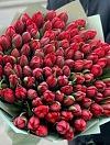 red peony tulips photo 1