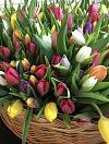 1001 tulips in a basket photo 2