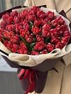 red peony tulips photo 2