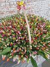 1001 tulips in a basket photo 4