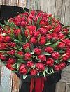 red peony tulips photo 2