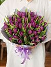 Purple tulips photo 1