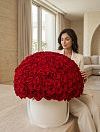 Red Sphere photo 1