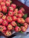 51 Peony Pink Tulip photo 2