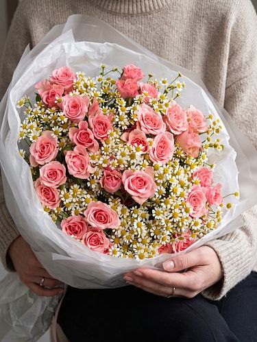 Coral Meadow Daisy